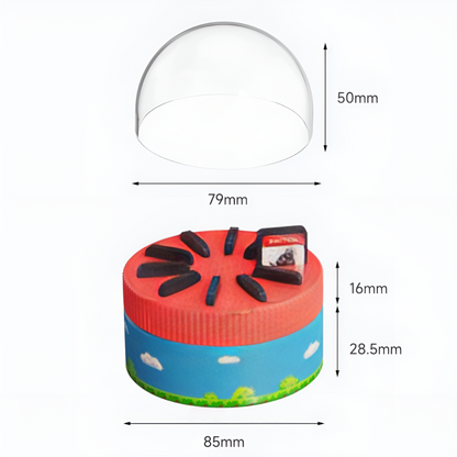 Switch Game Card Case